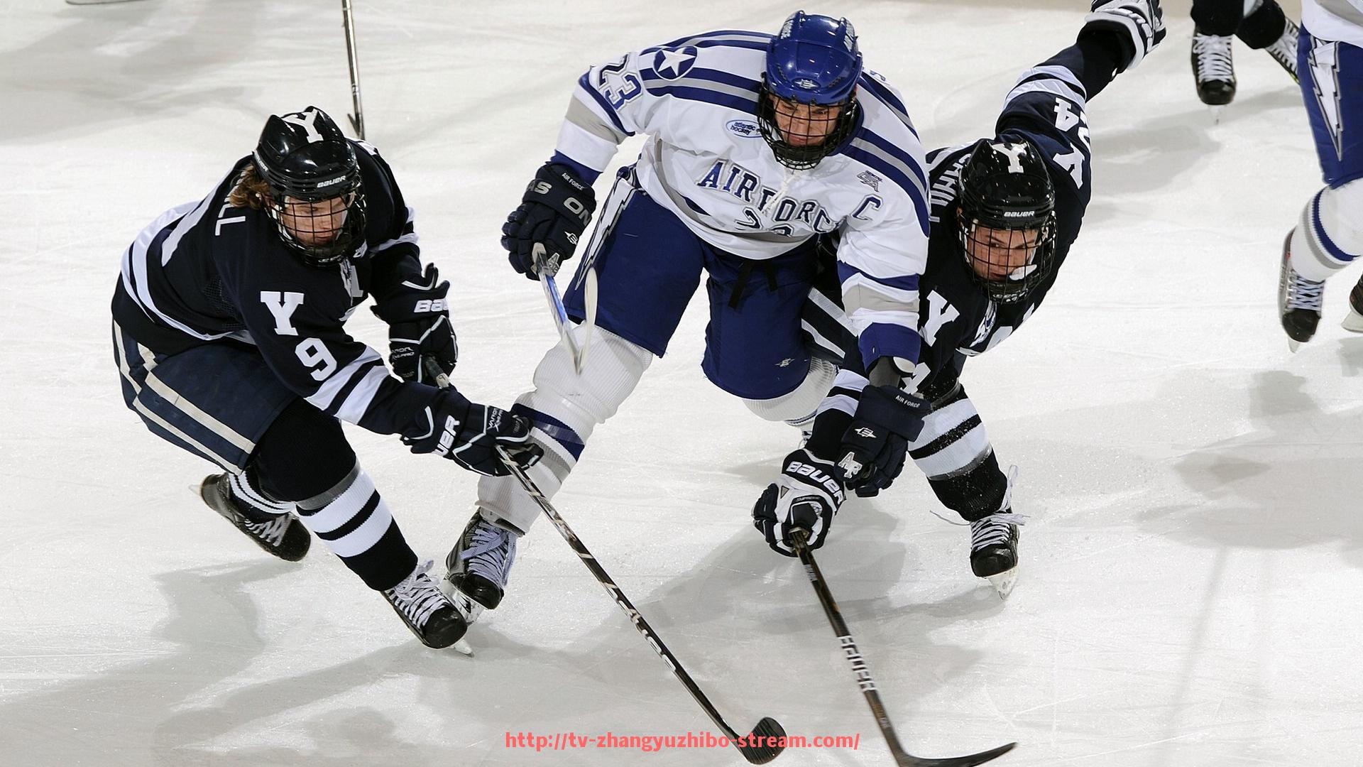 章鱼直播-广州力型健身器材品牌特点与运动性能介绍